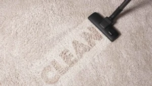 Carpet Scotchgard Protection Services in Washington DC - Lexi Clean