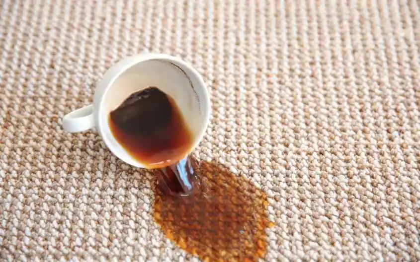 Coffee Stain Removal Services in Washington DC - Lexi Clean