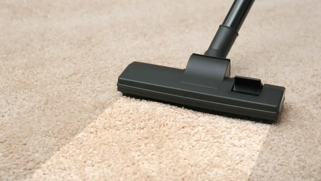 Dry Carpet Cleaning Services in Washington DC - Lexi Clean