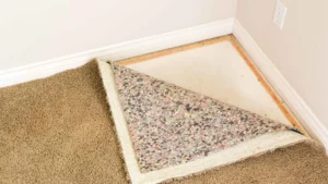 Rug Padding Installation Services in Washington DC - Lexi Clean